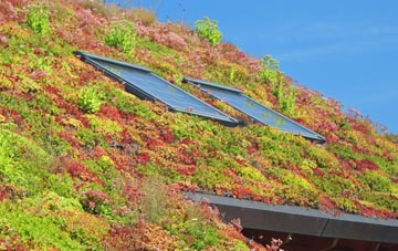 Storrington living roof systems